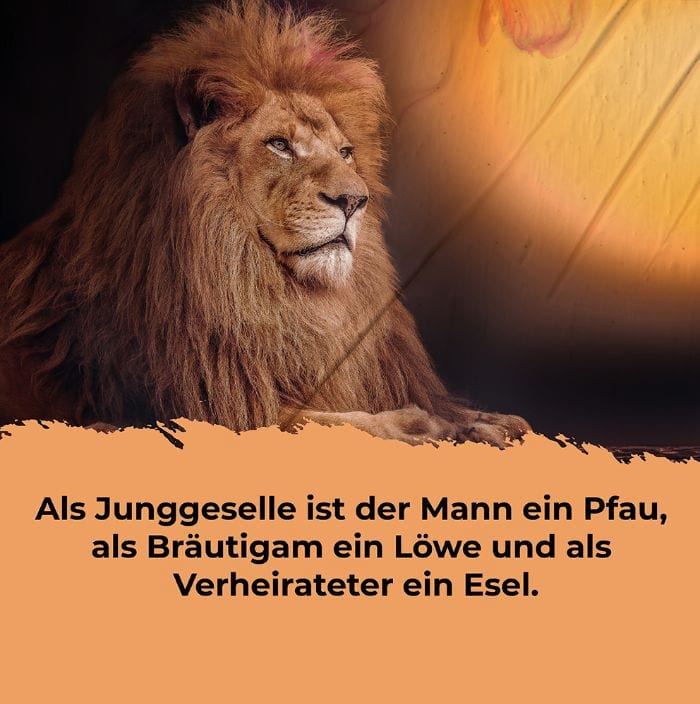 Lustige Sprüche zur Hochzeit für Karten: Zitate und Gedichte